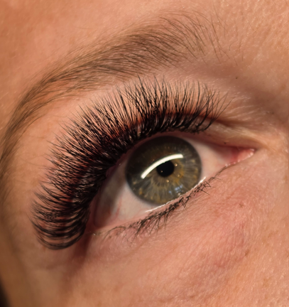 Lashes & brows